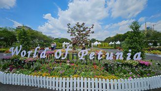 2024年布城皇家花卉节